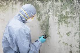 Best Forensic Mold Investigation  in Hudson, CO